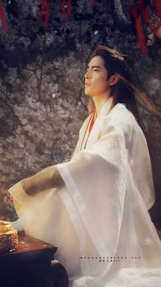 阿云嘎古风美男白衣若仙皇帝