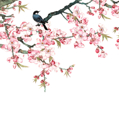 __葉○采集到花草