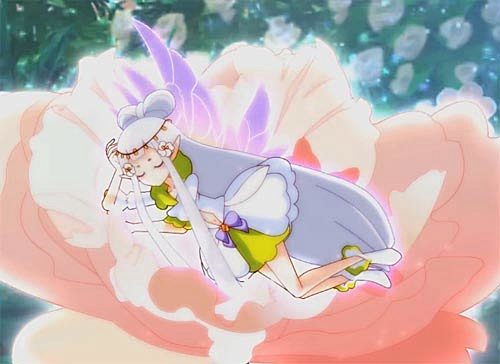 芙蓉花精灵王拒霜