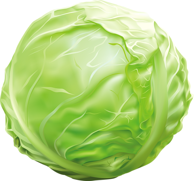 cabbage卡通图片图片