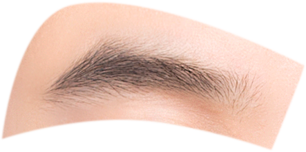 证件照素材五官眉毛素材五官素材1眉毛男7