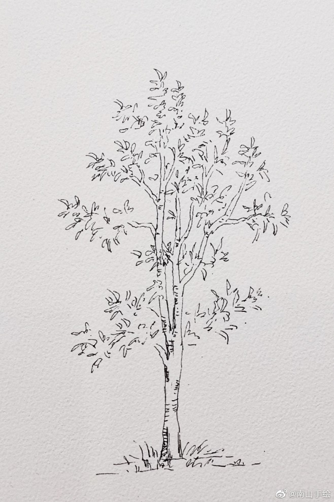 树线稿