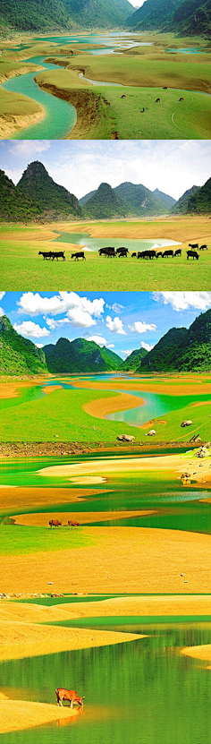 水晶幻想采集到糖糖の旅行集