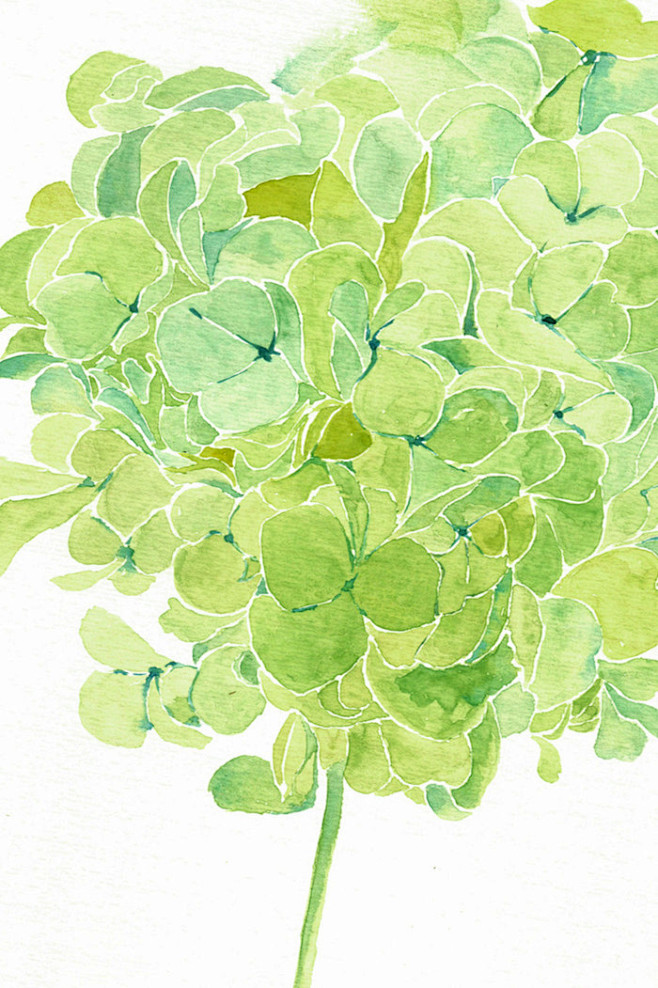 插画手绘水粉画叶子四叶草植物手机壁纸