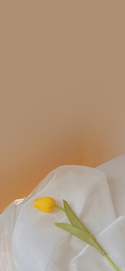 土豆幺设计01通过书签栏工具采集于2 周前暖色系壁纸d-背景/壁纸- 风