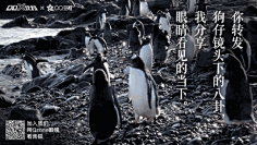 棉大花儿采集到平面设计-gif