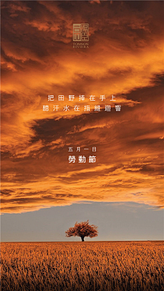 棉大花儿采集到汤臣一品合集