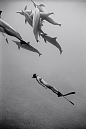  #海洋#Wayne Levin，美国摄影师，1945年出生于洛杉矶，现居夏威夷，他的作品包括所有海洋生物，鲸、鲨、海豚和游泳潜水的人们，持续拍摄海洋已超过20年。作品多是黑白