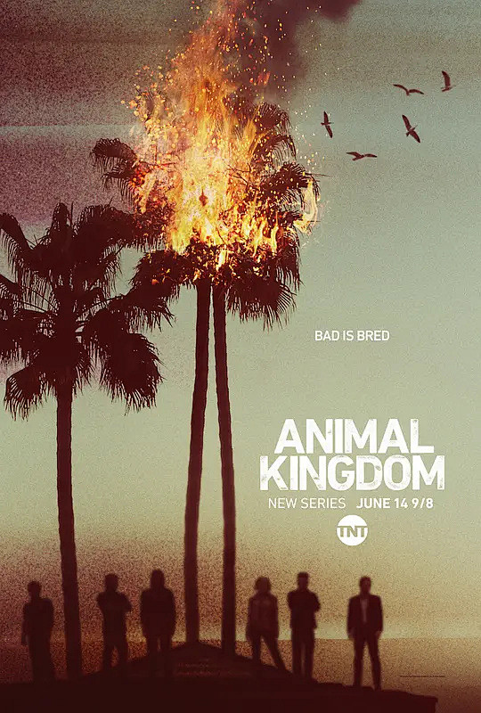 野兽家族第一季animalkingdomseason1海报