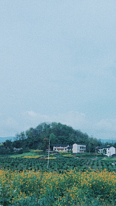 浮白°°采集到壁纸 _ 手机