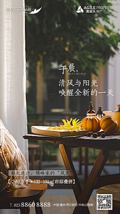 花伴又伴花采集到广告海报