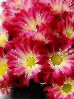 240_320竖版 竖屏gif 动态图 动图