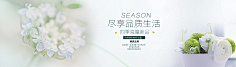 飞天胖虎采集到【海报banner】文艺/清新/简约
