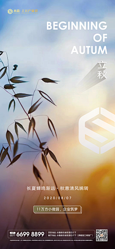 御蓝枫采集到海报