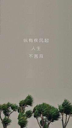 乄輪迴〆幾夢°ξ采集到言直指心、