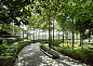 森林的倒影：吉隆坡 Azelia 住宅 / Landart Design Sdn Bhd