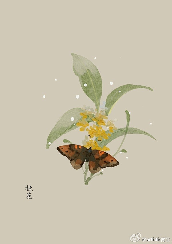 365天生日花 6月12日桂花 Osmanthus Fragrans 花语 魅力