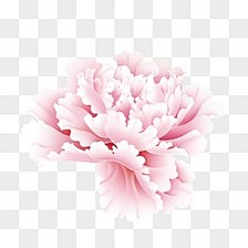 一点通教育采集到我喜欢的