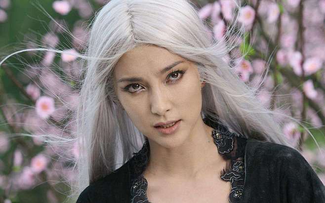 功夫之王李冰冰