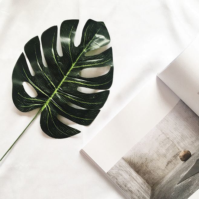 ins韩风仿真植物热带叶子椰子叶芭蕉叶摄影拍照道具摆拍椰子树叶淘宝