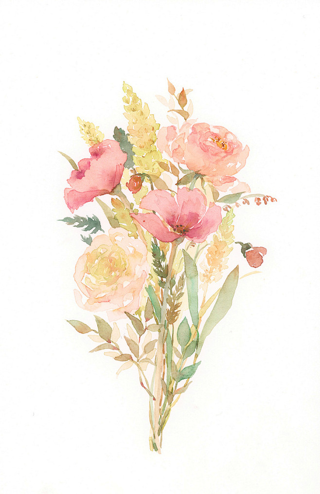 手绘植物花卉-花瓣网|陪你做生活的设计师