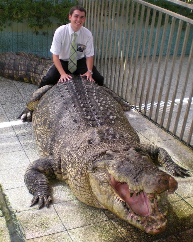 世界最大鳄鱼图片