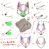 君子美如玉采集到汪星人