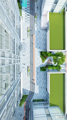 Handy_Han采集到园林 鸟瞰