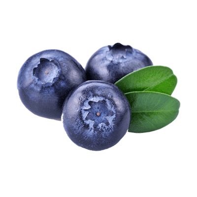 蓝莓png