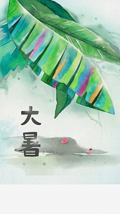 泽无旁贷11采集到24节气