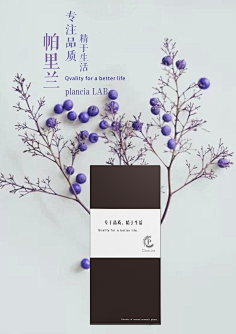 边缘人(Jem)采集到好多版式