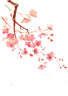 苏彧凝采集到战姬绝唱