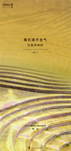 大胡子狗采集到节日节气