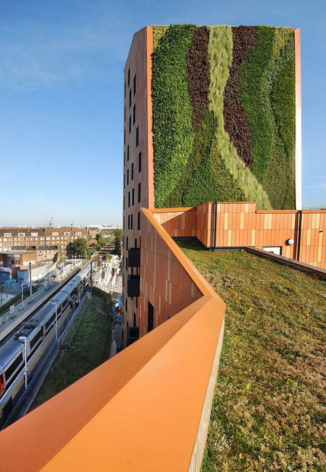 垂直绿化-花瓣网|陪你做生活的设计师 | 苔藓的创意应用 676767