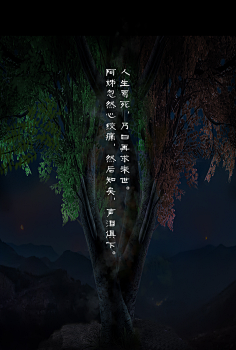 龙魂人形社采集到龙魂人形社 限量 BJD SD 娃娃 魑魅魍魉-山精阿姊阿弟