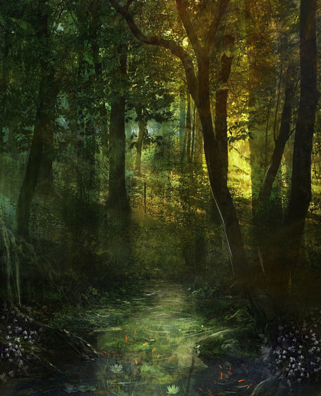 森林树林树木树丛丛林素材