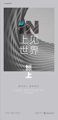 转采采集到版式