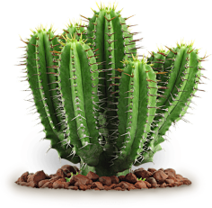 -加油!采集到植物素材