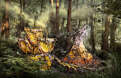 湖畔阴影采集到克里斯蒂·米切尔(Kirsty Mitchell),英国摄影师