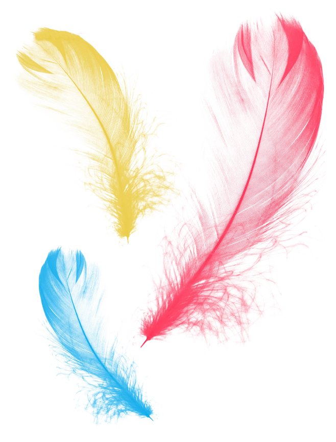 彩色羽毛