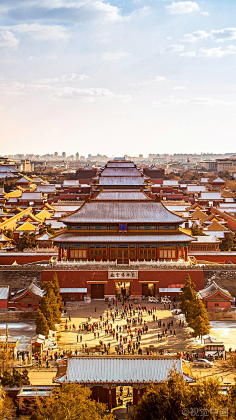 像橘子的太阳采集到一红 一国