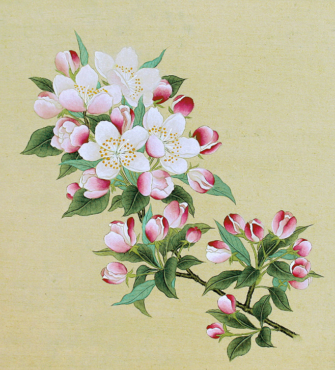 邀月言诗从~小迷糊~转采于2019-05-18 16:10:31宋人海棠,国画邀月言诗