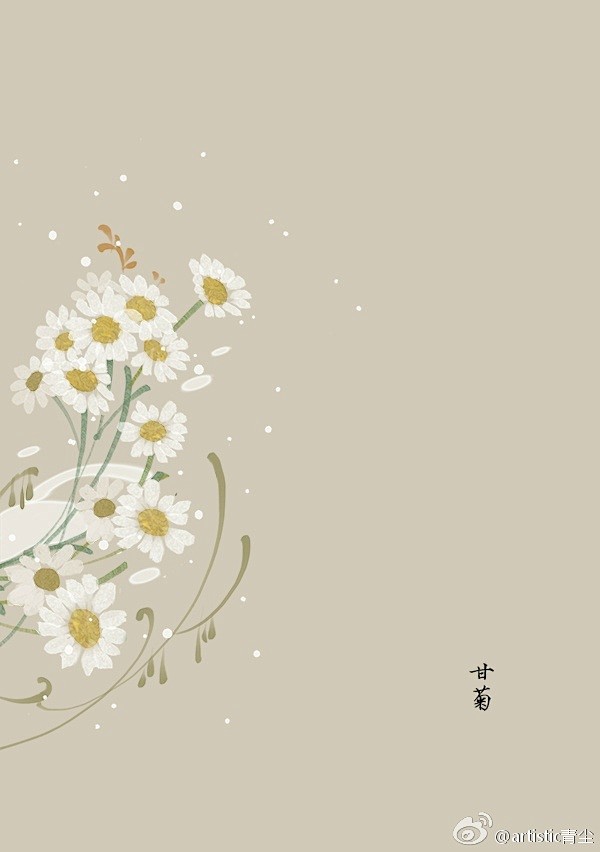 365天生日花 2月14日甘菊 Chamomile 花语 不畏艰苦