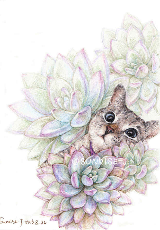 多肉植物 猫咪 宠物 插画 壁纸 治愈系 背景图