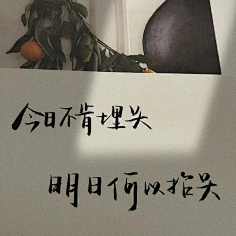の蘫采集到美文美图