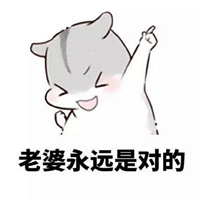 老婆永远是对的仓鼠表情包