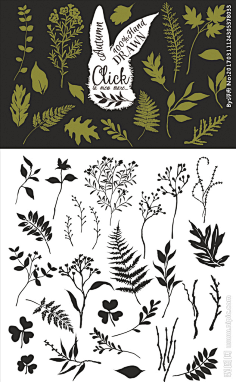 手绘素材-花瓣网|陪你做生活的设计师 | 花卉鸟儿水彩系列插画