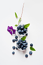 蓝莓  水果