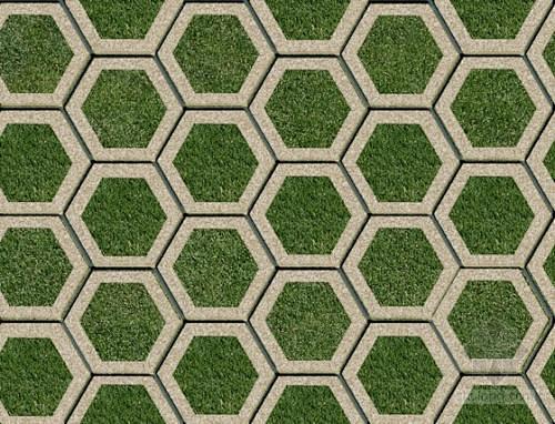 植草砖贴图的搜