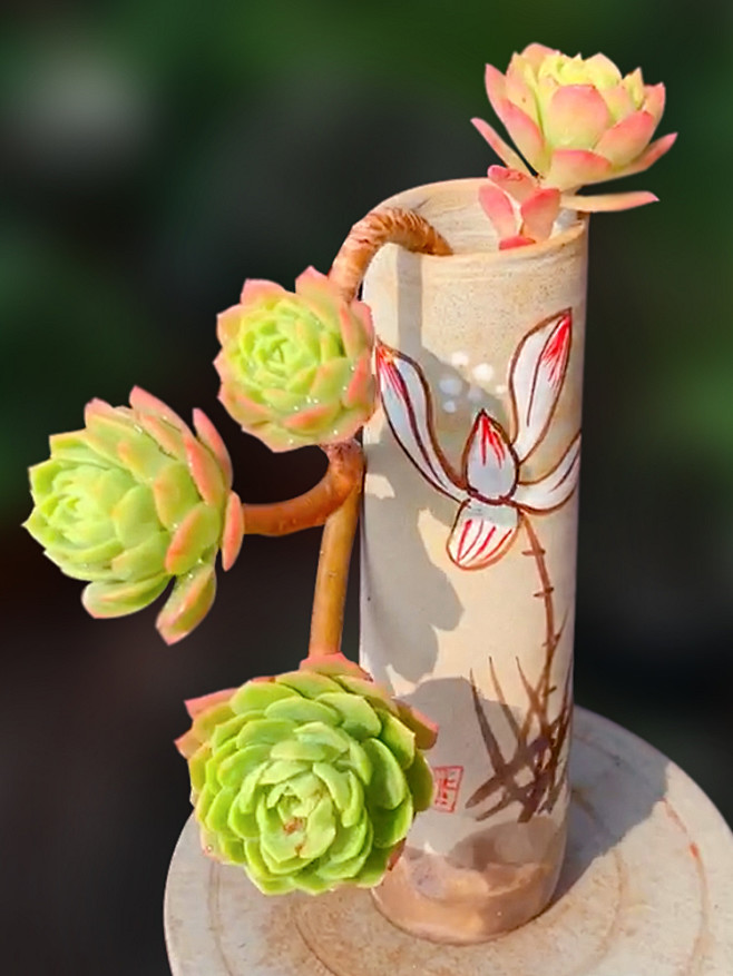 绿蔷薇包邮造型向阳派多肉植物群生老桩多头一物一拍景天拟石莲淘宝网